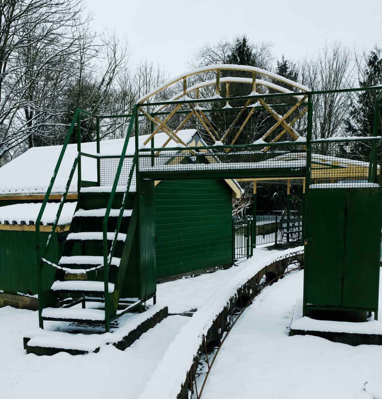 viables in the snow.